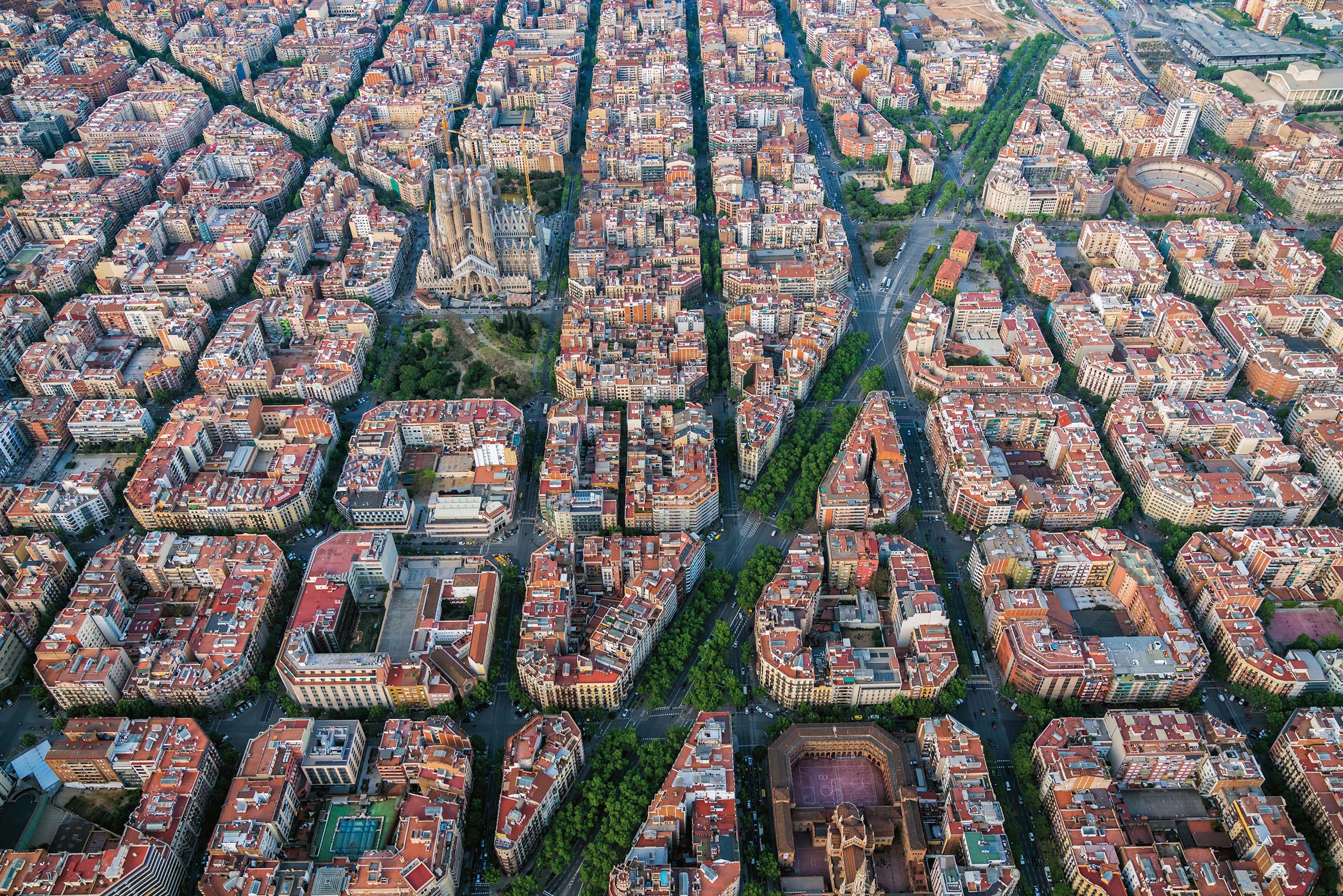Barcelona, libro en mano